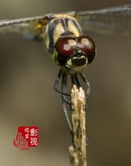 c000042