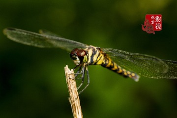 c000043