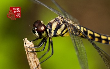 c000046
