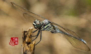 c000056