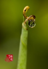c00048