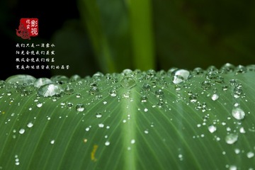 f0082