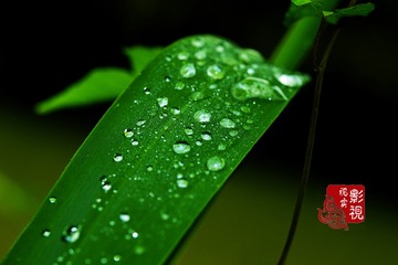 c000059