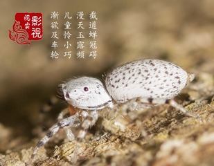 c00006