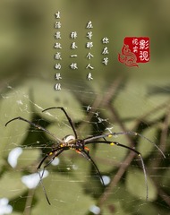c00036