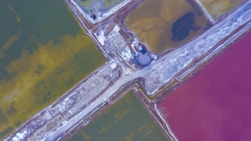 DJI_0684