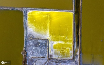 DJI_0847