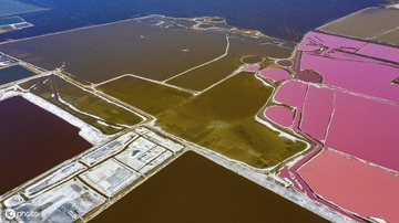 DJI_0227