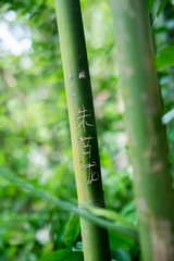 惠州西湖景区11
