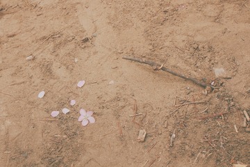 2017-04-04 08.57.00 1