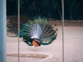 150594