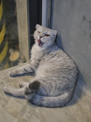 165287