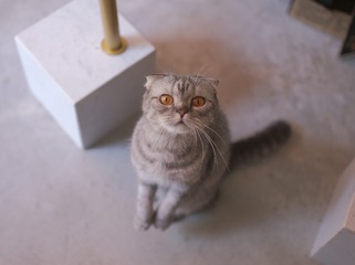 165241