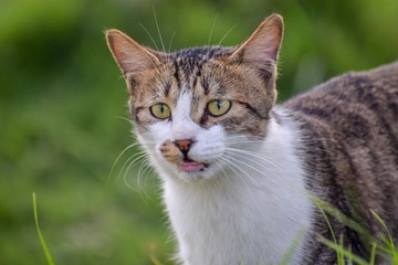 839827