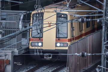 804446
