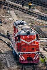 490594