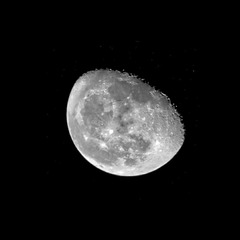 IMG_20160922_133533