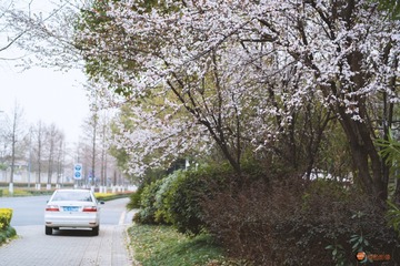 99CAF763-584D-4DFD-82D8-AB01A81F0EEB/L0/001