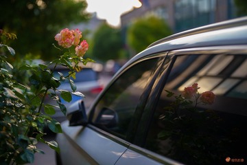CE6814DC-BE79-4F46-930D-0AA6A7F1F5D2/L0/001