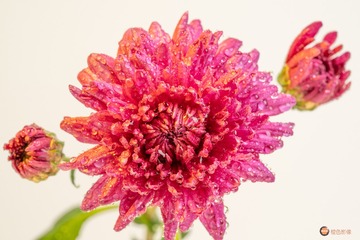 0B4EF766-C1BE-4FEF-BCB1-47D60D150746/L0/001