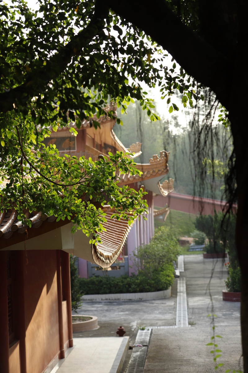 寺庙 幽静 清晨阳光