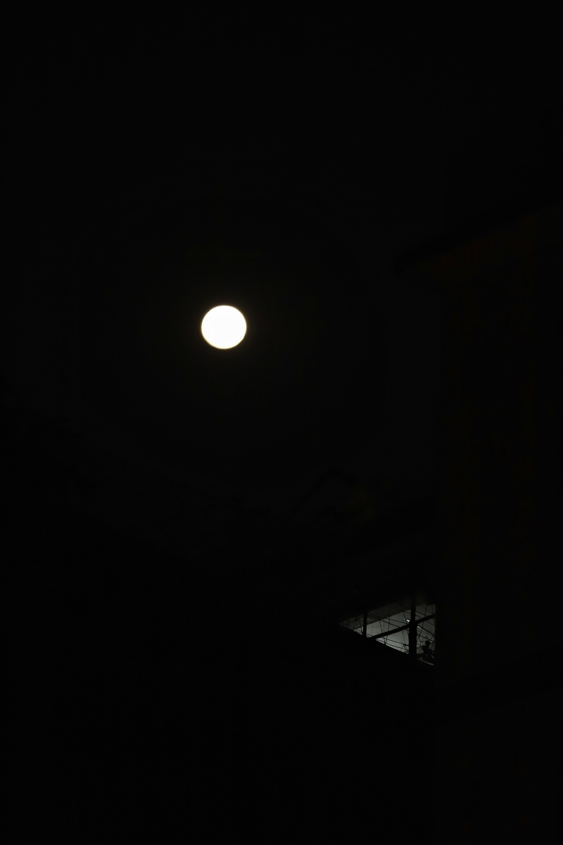 月夜月圆之夜月黑月亮