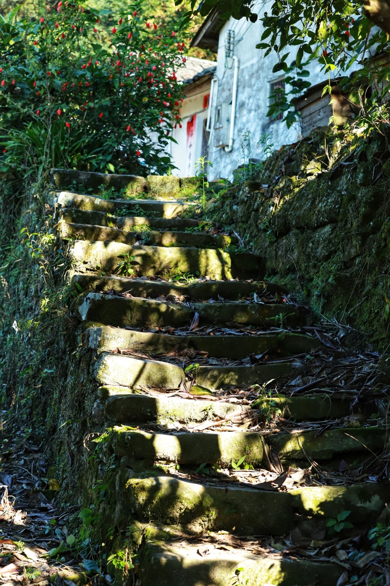 山里人家石径桃花源里老屋与世无争