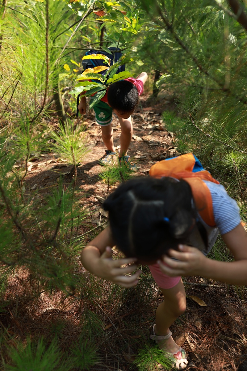 儿童户外越野穿越爬山