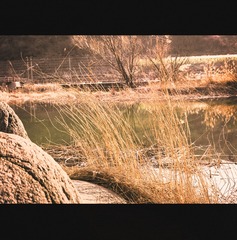 IMG_0009-1