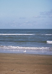 02BACEDB-E418-48C2-B855-97CBFFE3AE11/L0/001