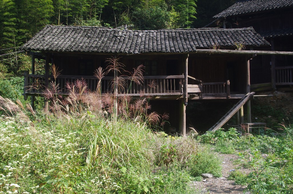 15:荒废的木房前野草茫茫,野草所在地以前是一栋木房。2016年9月,湖南绥宁县长铺乡安阳山村。