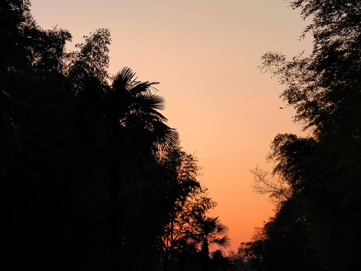 没有谎言的四月