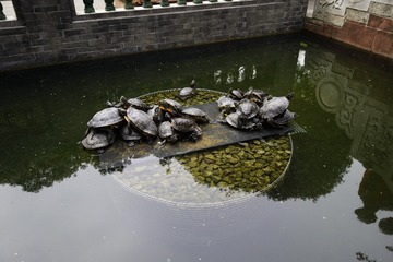 _DSC0056