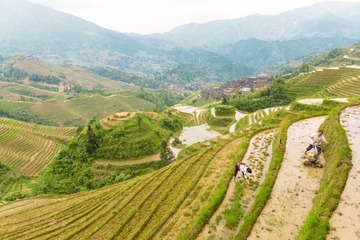 _DSC0135