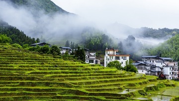 雨雾梯田