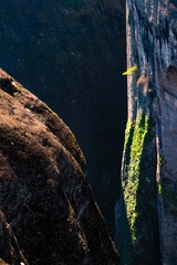 武夷山