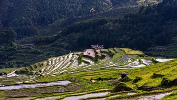 欧家梯田，上磅岭