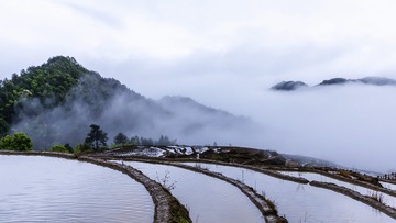 欧家梯田---犁头岭