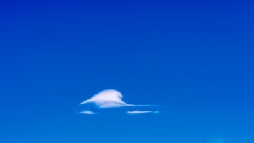 天鹅