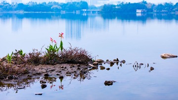 湖景