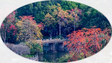 羊城春色---下午