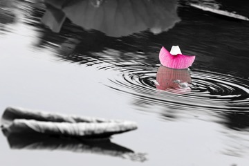 荷