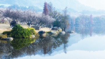 萝岗香雪公园
