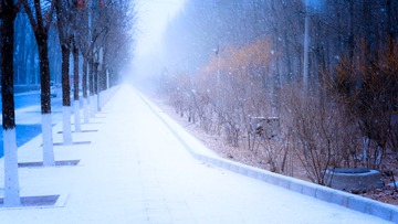 偶遇飘雪