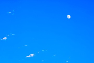 不一样的国旗