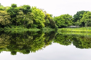 湿地风光
