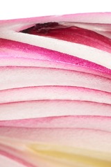 BC8C16B7-CA78-4889-A3D8-F69B15D8BEF7/L0/001