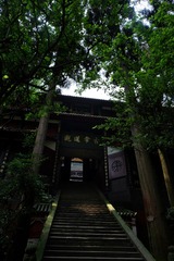 DSCF8536 - -01