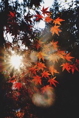 C957E691-651E-466B-9F96-CC8ACED68B89/L0/001