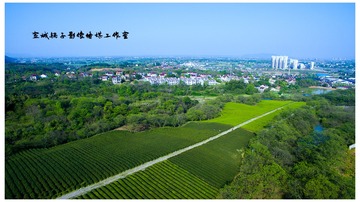 DJI_00 4 8